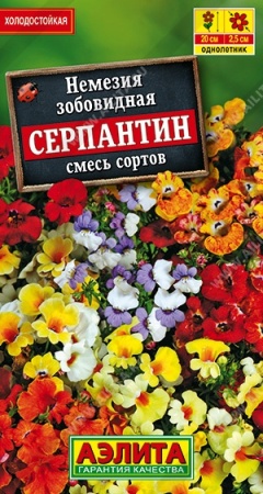 e0335ae3-0e1c-11ec-a8a4-005056c00008-1