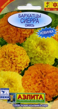 d1c2180e-f347-11dd-867d-0019dbe91ea3-2