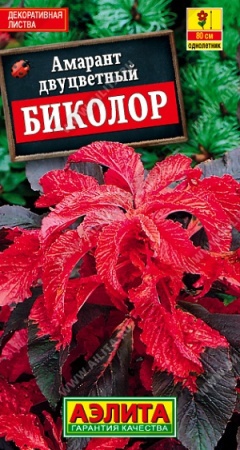 9c71ab8a-eeec-11de-87df-0019dbe91ea3-1