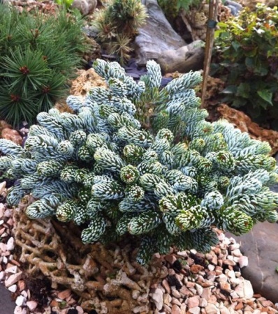 77db006b-d4db-11f0-891e-246e9611e8f6-1