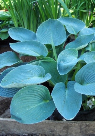 d0cd3ea5-67d7-11ed-bd4c-001e673ebdea-1