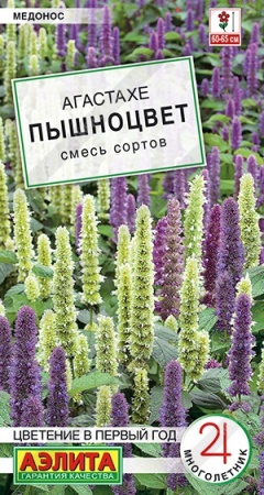 b8acb71b-0b1a-11ec-a8a4-005056c00008-1