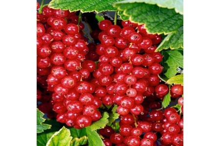 9213c5ab-1b7f-11f0-8918-246e9611e8f6-1