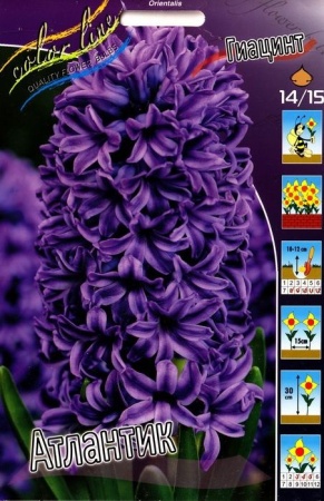 b81dce70-4db3-11f0-891a-246e9611e8f6-1