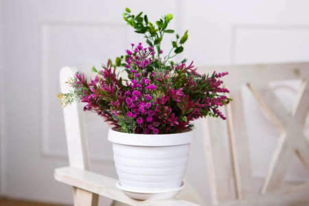 46eea8f9-5661-11ed-aea3-001e673ebdea-1