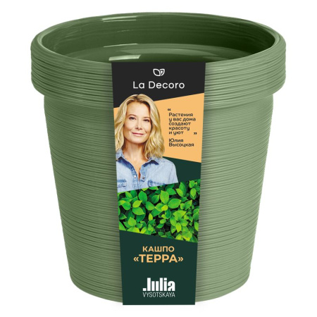 1b29e678-dafb-11ef-8915-246e9611e8f5-1