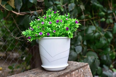 ea13edb9-5754-11ed-aea3-001e673ebdea-1