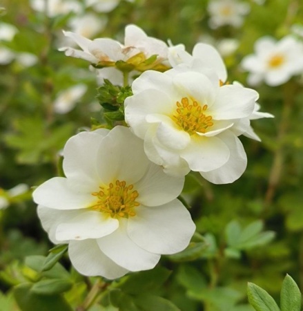 2bf0beba-2c37-11f1-8926-246e9611e8f6-1