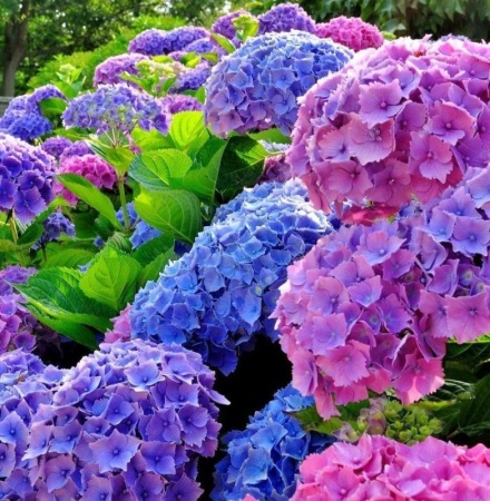 e43397ec-43a9-11e8-8910-005056c00008-1