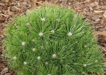 71e89a3b-c293-11ef-8915-246e9611e8f5-1