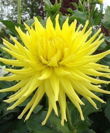 bebdda31-3e98-11ea-ab2f-005056c00008-1