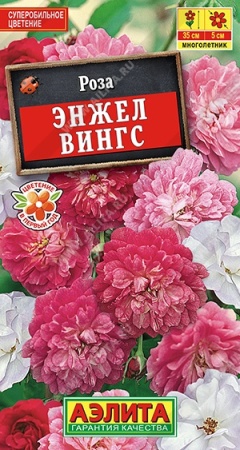 9b4cfe73-dcea-11dd-9138-00500454e615-1