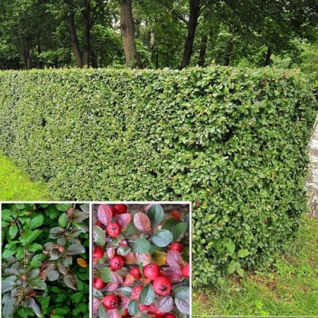 6083e624-29b3-11f1-8926-246e9611e8f6-1