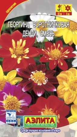 70f41b11-dcea-11dd-9138-00500454e615-2