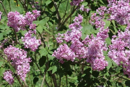 99f08923-2f8d-11ef-890e-246e9611e8f7-1