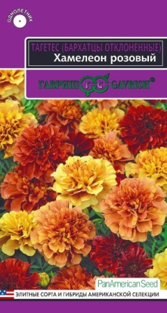 1e895f0d-eee1-11e8-bbd3-005056c00008-1