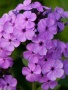cee33785-dd2a-11e5-a9f8-001e673ebdea-1