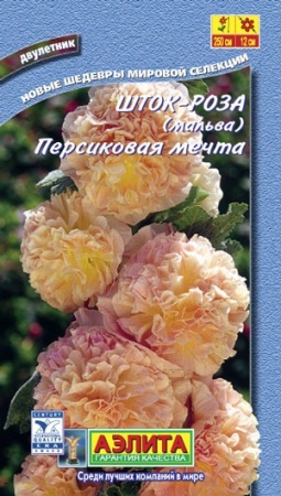 ad572970-dcea-11dd-9138-00500454e615-2