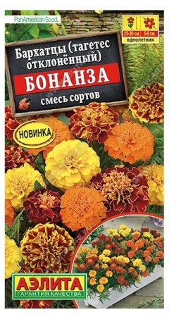 04e96e89-f803-11ea-b984-005056c00008-1