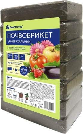 2fe4af22-be06-11ef-8914-246e9611e8f5-1