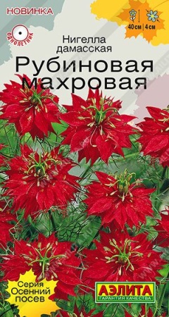 17deb34b-9ef5-11f1-892e-246e9611e8f6-1