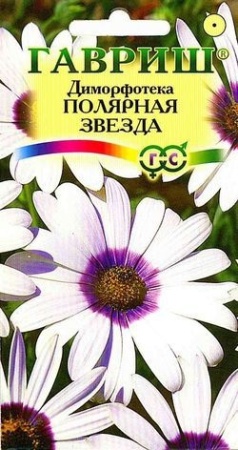 7757a673-dcea-11dd-9138-00500454e615-2