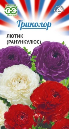 248cb707-e827-11ea-86cc-005056c00008-1