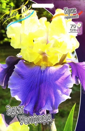 3c682402-3e58-11df-a2d0-00235435134b-2