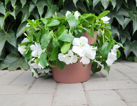 b339cbf5-55e1-11ed-aea3-001e673ebdea-1