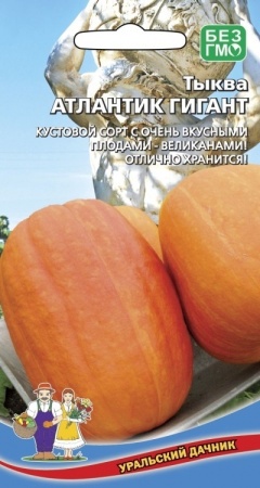93e029e8-e4b2-11eb-a954-005056c00008-1