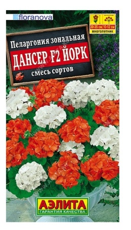 08306350-f80a-11ea-b984-005056c00008-1