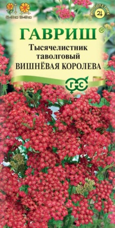 a74e35de-dcea-11dd-9138-00500454e615-1