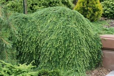 69c7172c-d7e6-11f0-891e-246e9611e8f6-1