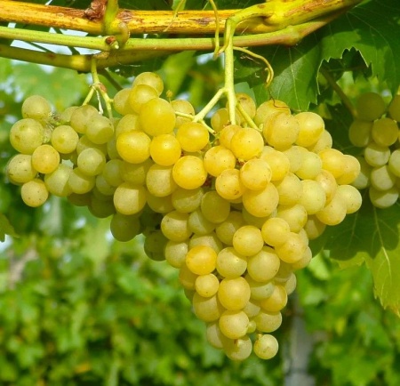 e1248a03-b8a5-11f0-891d-246e9611e8f7-1