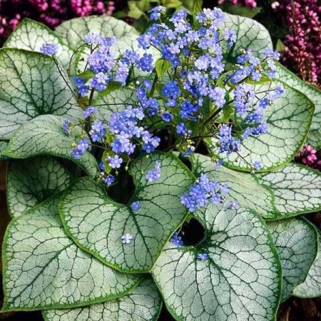 cc2dc0ed-21c9-11f0-8918-246e9611e8f6-1