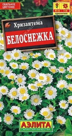 a74e37e6-dcea-11dd-9138-00500454e615-1