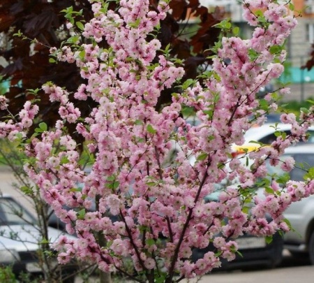 82695694-2c4f-11f1-8926-246e9611e8f6-1