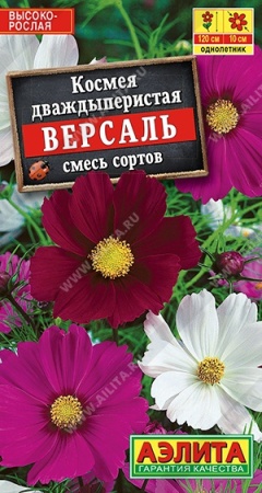 51a3c304-2b02-11e1-be7f-00500454e615-1