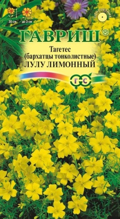 6a97b524-dcea-11dd-9138-00500454e615-1