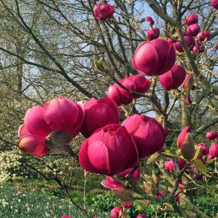 46be802a-e094-11ef-8915-246e9611e8f5-1