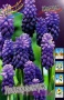 3d42387a-af31-11df-b92b-0019dbe91ea3-1