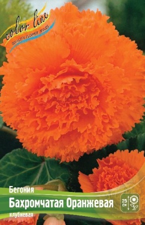 e8e0ac15-373f-11eb-b90a-005056c00008-1