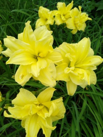 3ca4455a-000f-11f0-8915-246e9611e8f5-1