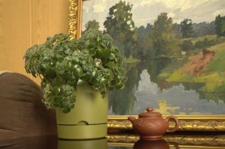 34f419d7-da61-11f0-891e-246e9611e8f6-1