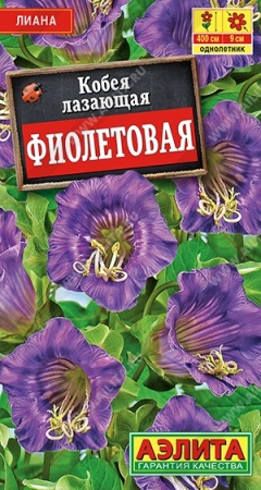 7d524c97-dcea-11dd-9138-00500454e615-1