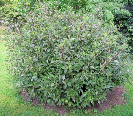 cd2d4aba-4f0e-11ef-8910-246e9611e8f6-1