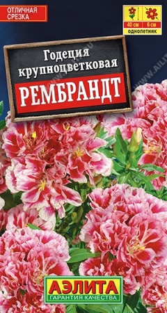 70f41b5f-dcea-11dd-9138-00500454e615-1