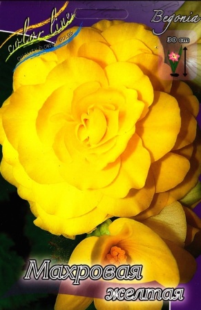 387d71ff-3740-11eb-b90a-005056c00008-1