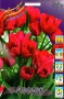52b1a57b-5b87-11ef-8910-246e9611e8f6-1