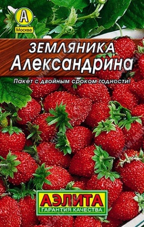 a49ff80f-50e8-11e3-8a92-00500454e615-1